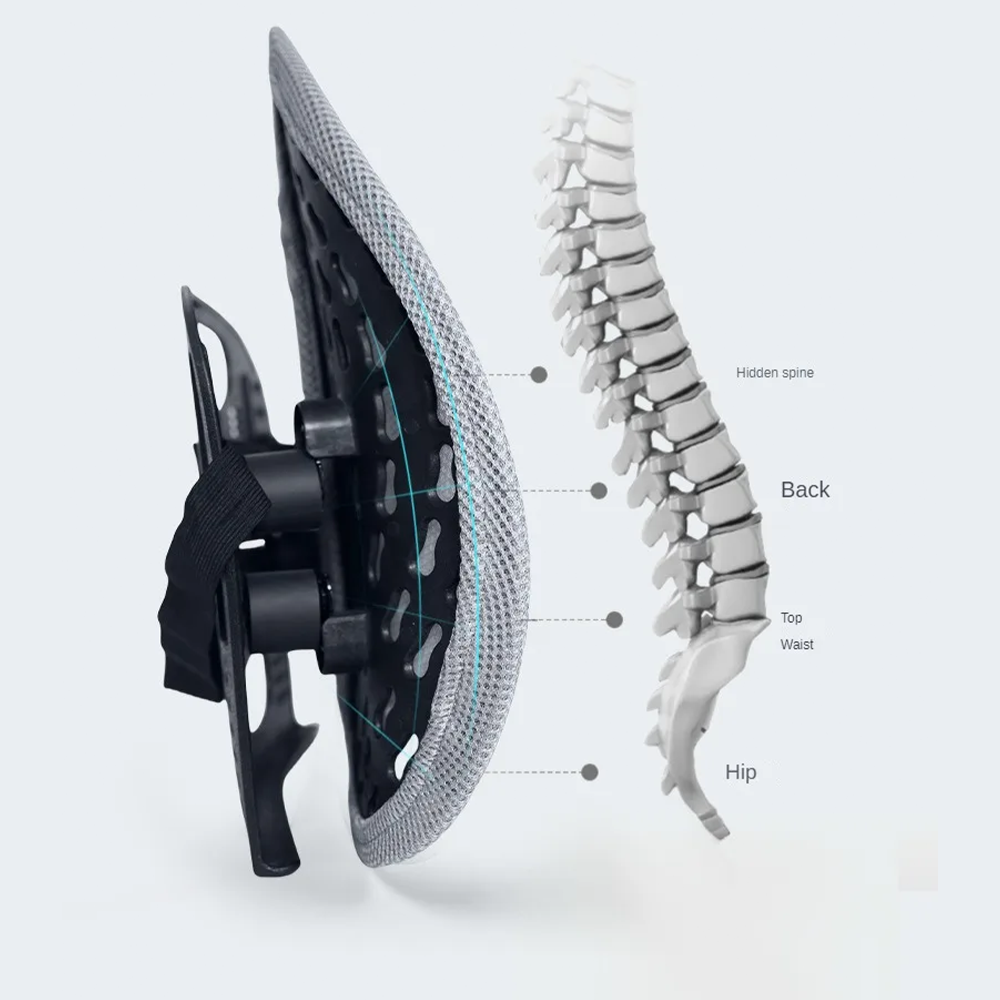 Axis Lumbar Support