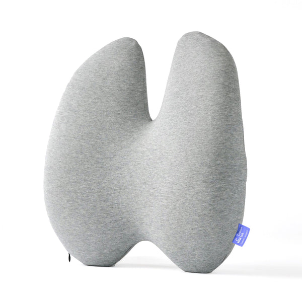 Cushion Lab Back Relief lumbar pillow